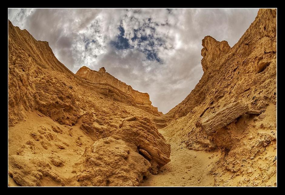 Desert View Arad Eksteriør billede